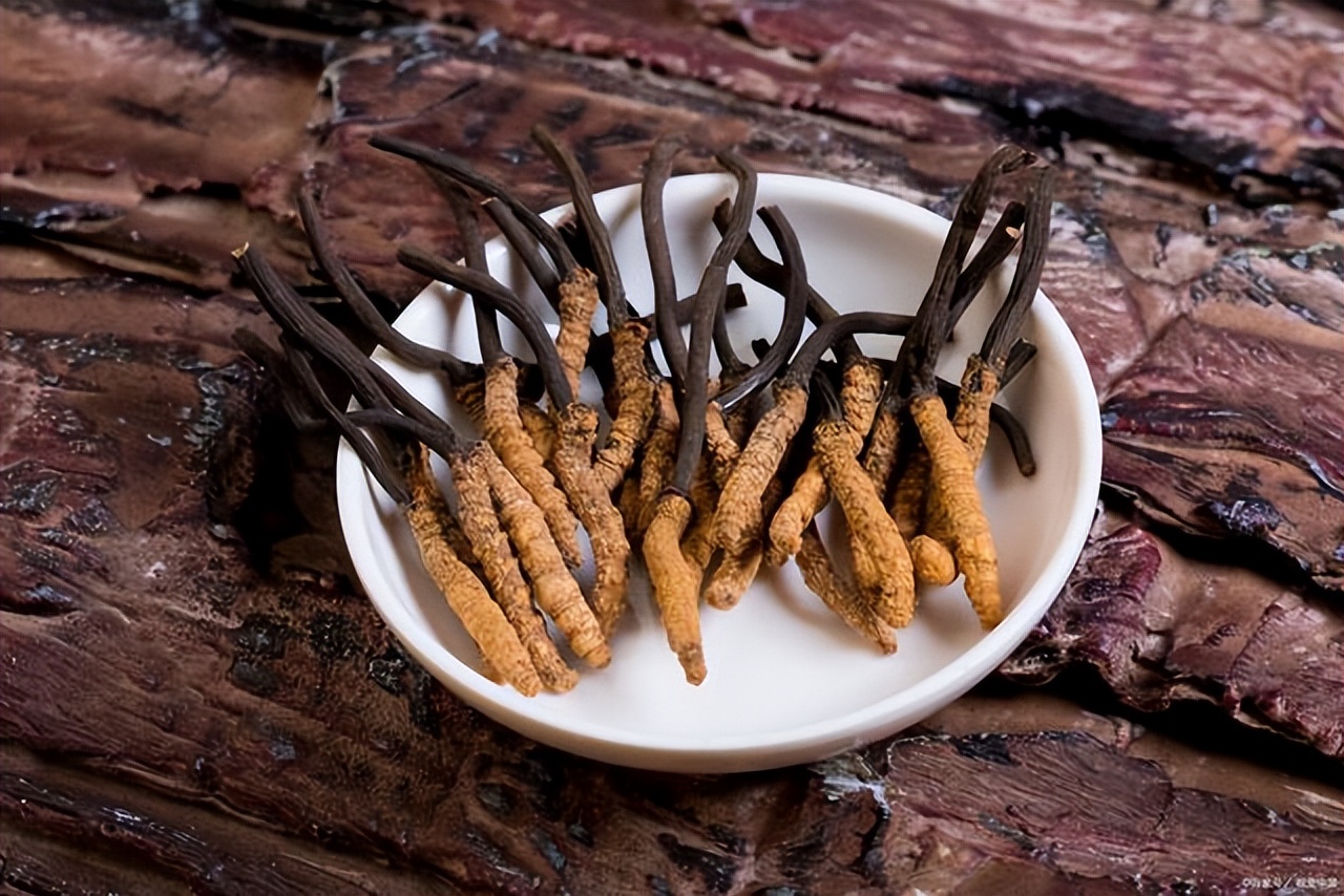 7名村民4000米高山挖虫草，山上过夜遭雷击身亡，惨剧为何发生？