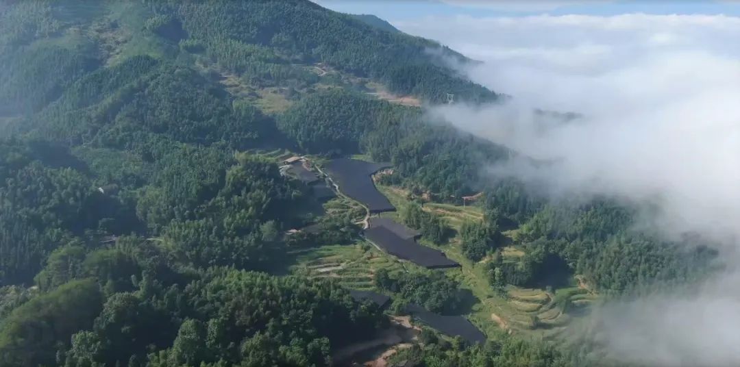 草际风来作药香寻找中国好营养