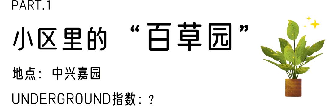 公交车爬楼顶,公交车飞上了楼顶
