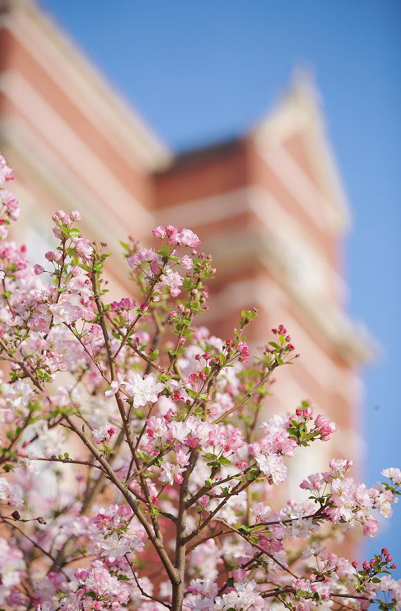 四川西南航空职业学院是什么风格,四川西南航空职业学院校园风采