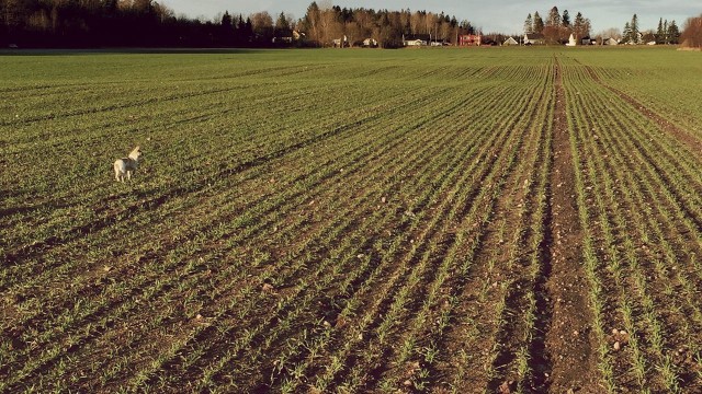 说一个笑话50字的,说一个笑话100字