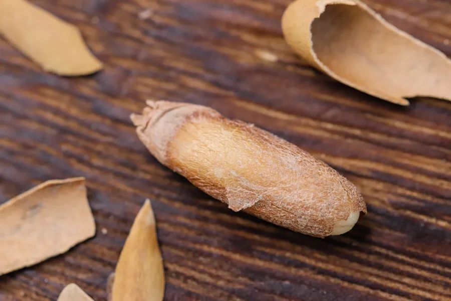 山姆买会员卡能用会员卡消费吗,山姆买会员卡合算吗