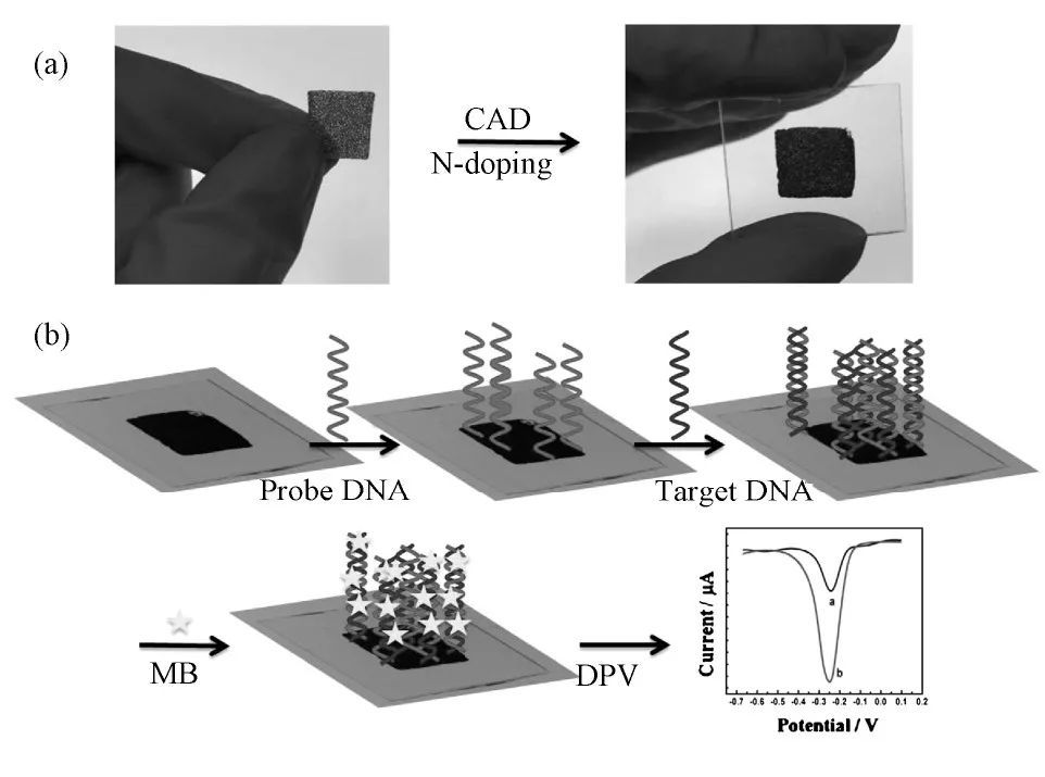 磁性石墨烯复合材料，在电化学检测中，怎样分离环境污染物？