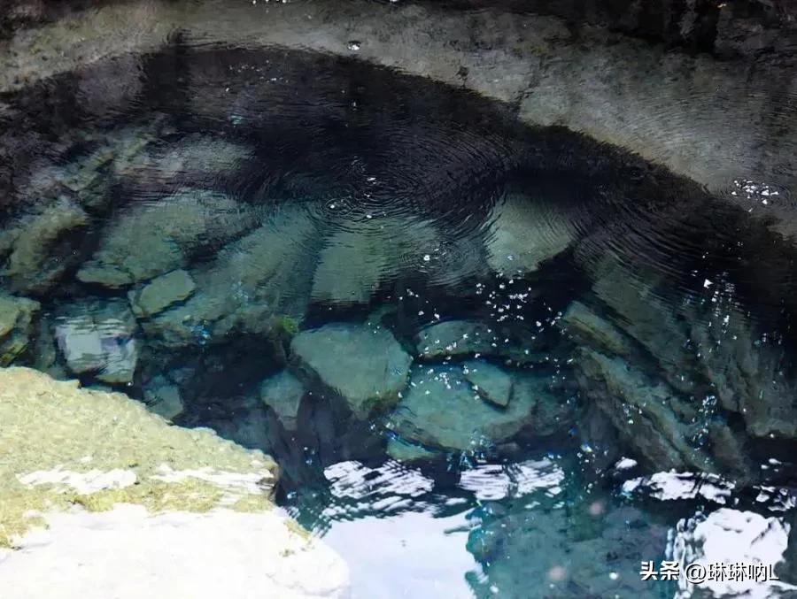 贵州老八大名酒平坝窖酒,贵州平坝窖酒复古珍藏版