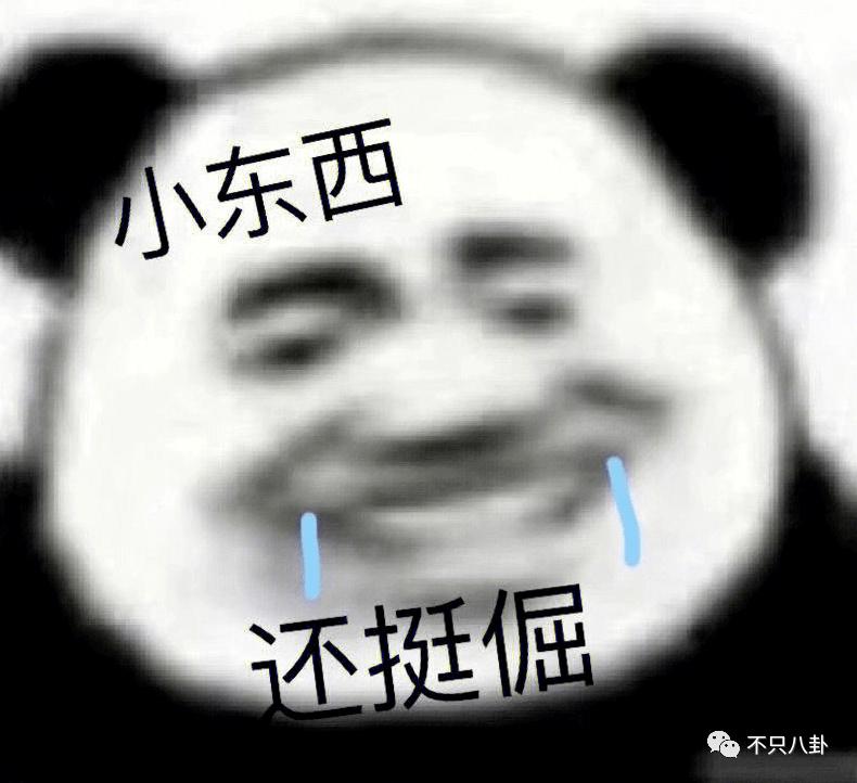 央视评绝望的文盲满江红,绝望的文盲央视点评满江红