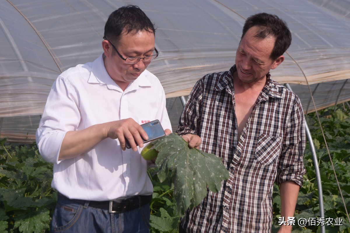 能治虫又能杀螨老牌杀虫剂,强力杀菌除螨用什么药