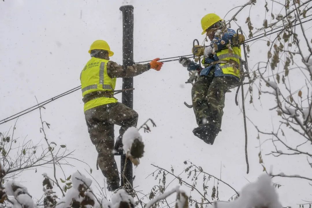 悬念揭晓在即,悬念揭晓视频