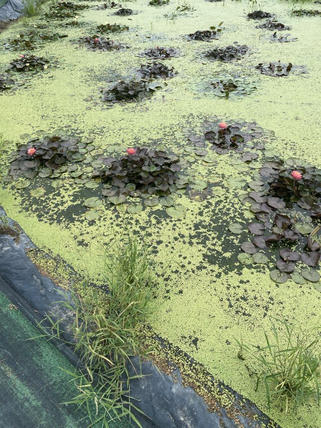 上海十一好玩的地方推荐,上海周末好玩的地方推荐免费