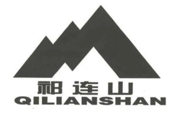 中国十大水泥集团排名榜,西南水泥集团有限公司