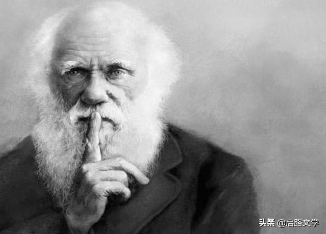 珍惜时间的达尔文经典语录,达尔文关于自然之道的名言名句