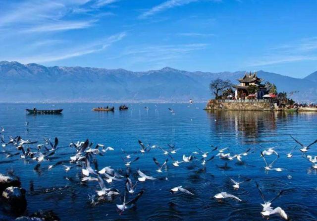 云南跟团旅游怎么合理避坑,卧底随团云南低价游大揭秘