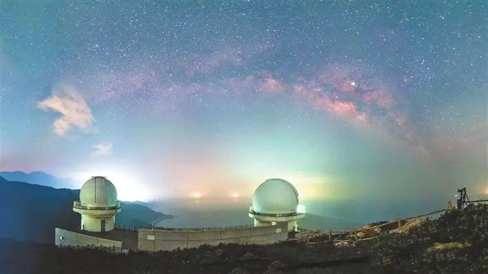 成群萤火虫美如星河！深圳这个暗夜社区要火了