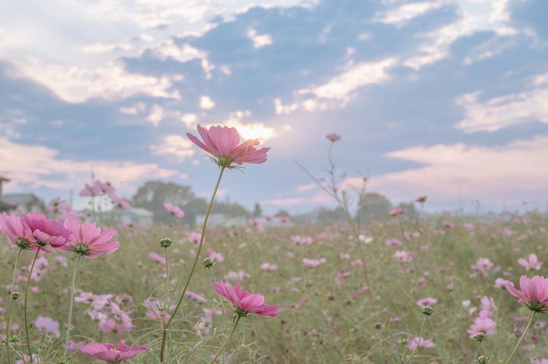 下雨伤感的句子带人生感悟,下雨伤感的句子100字