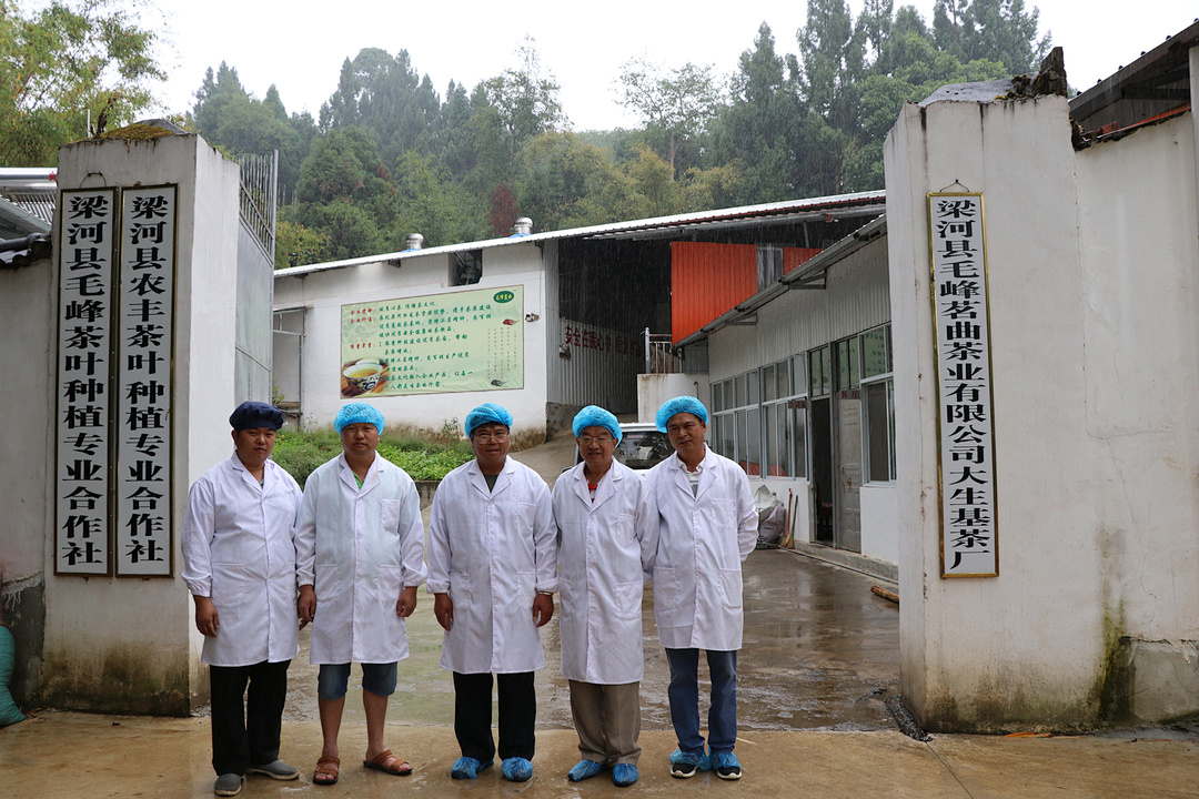 有机认证的条件,有机认证证书怎么看