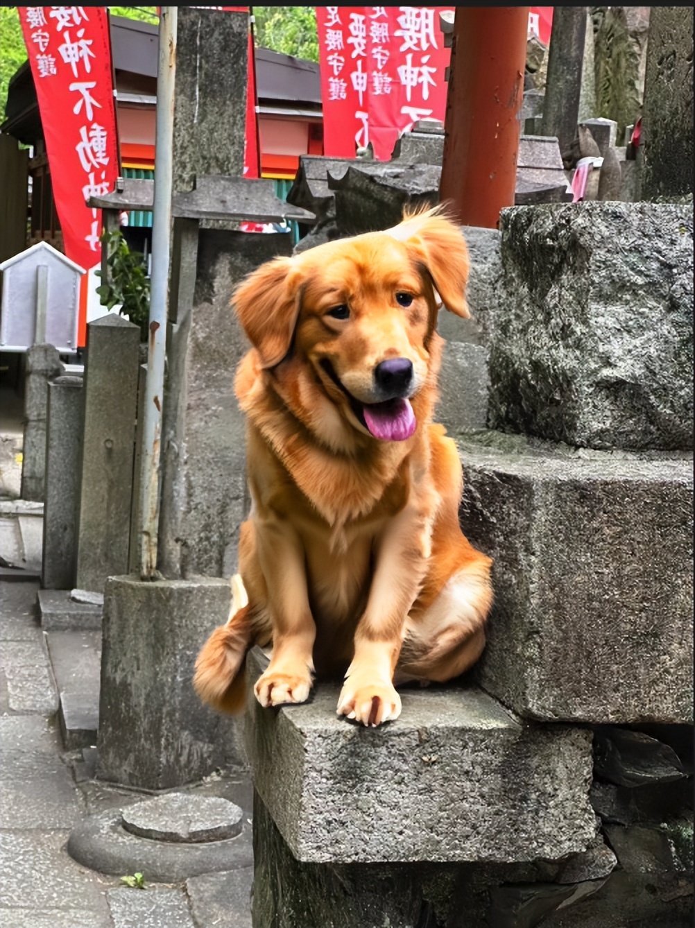 ps免费在线工具,ps软件p图教程详细步骤