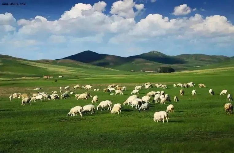 好一朵美丽的茉莉花最好听的版本,一朵美丽的茉莉花音乐节奏