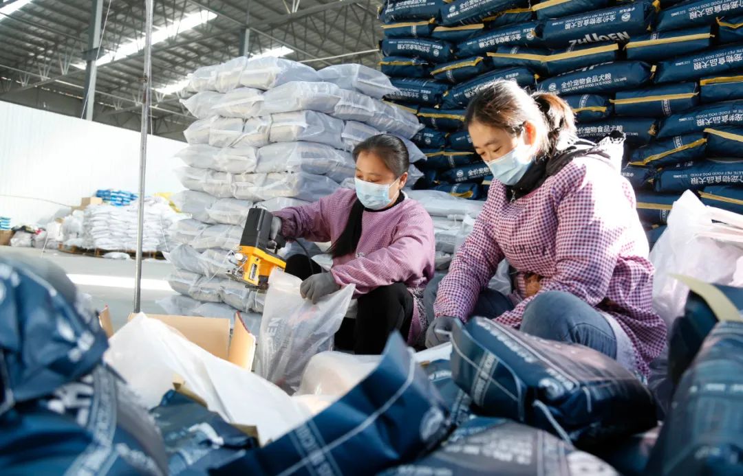 “村投公司”存在哪些痛点？如何破解？