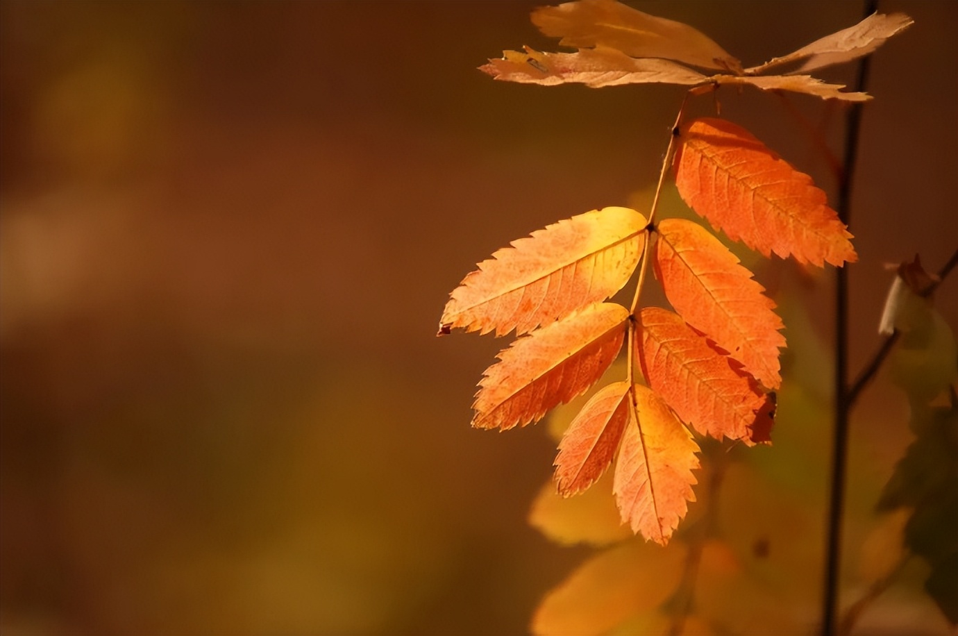 人到五十岁后，发现生儿子和女儿，太不一样了