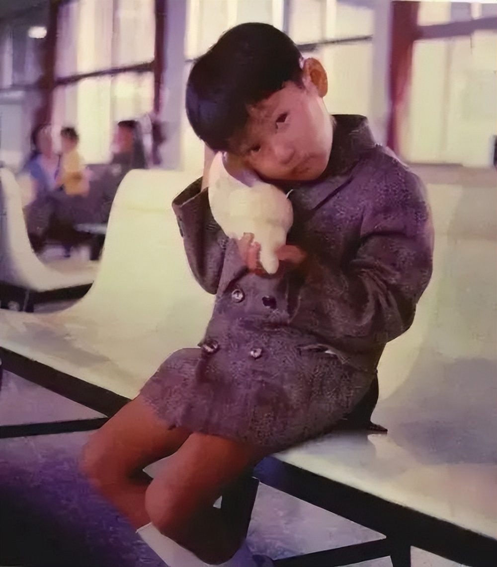 情歌王子张信哲新单,“情歌王子”张信哲的成名之路