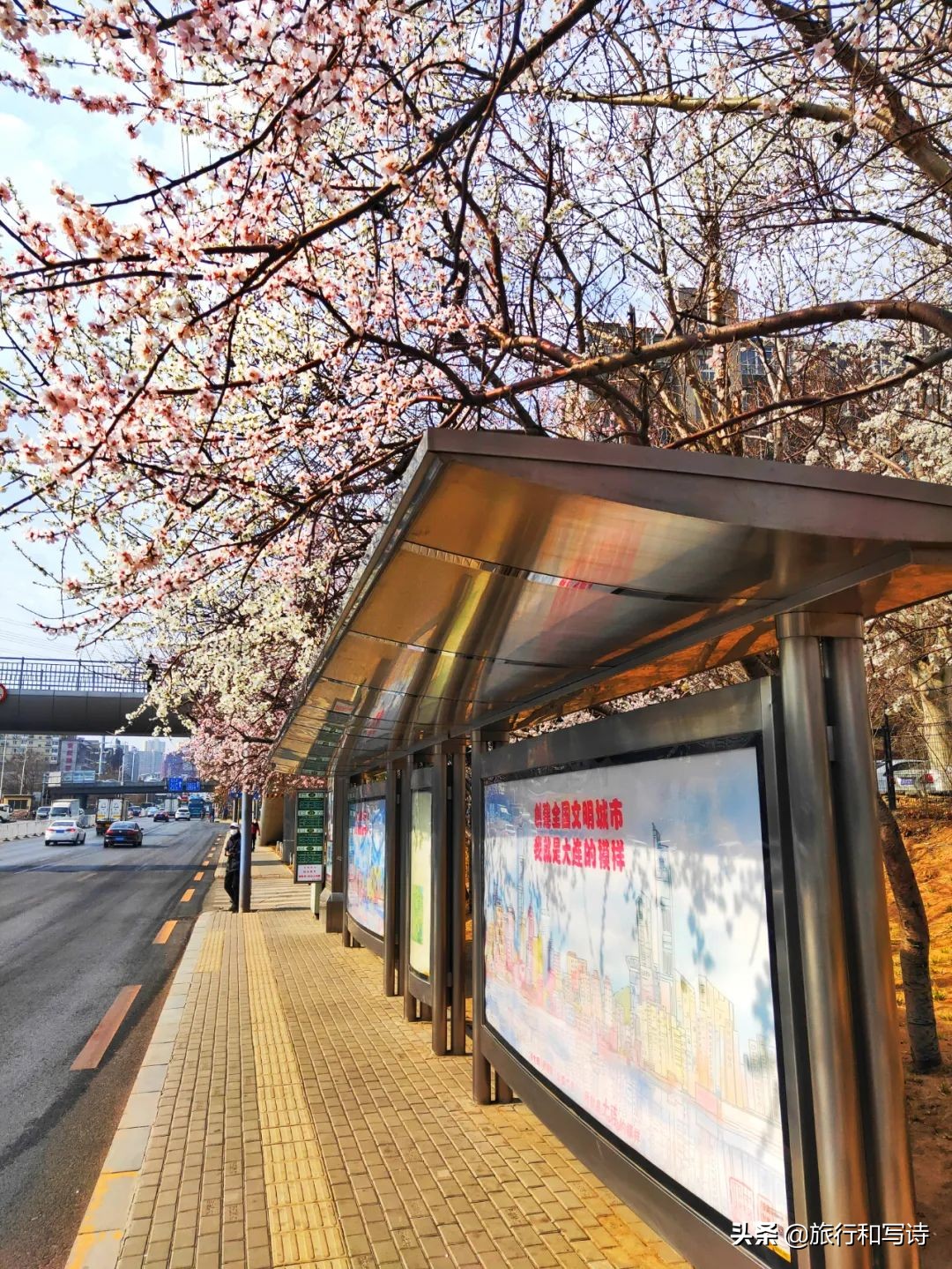 大连十大网红打卡圣地一网打尽,大连新晋网红打卡地东西价格