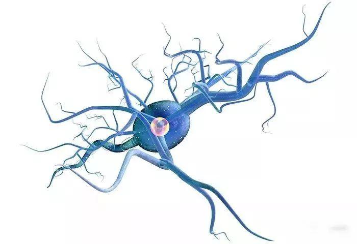 神经受损吃b1还是b12,甲钴胺和维生素b1修复神经