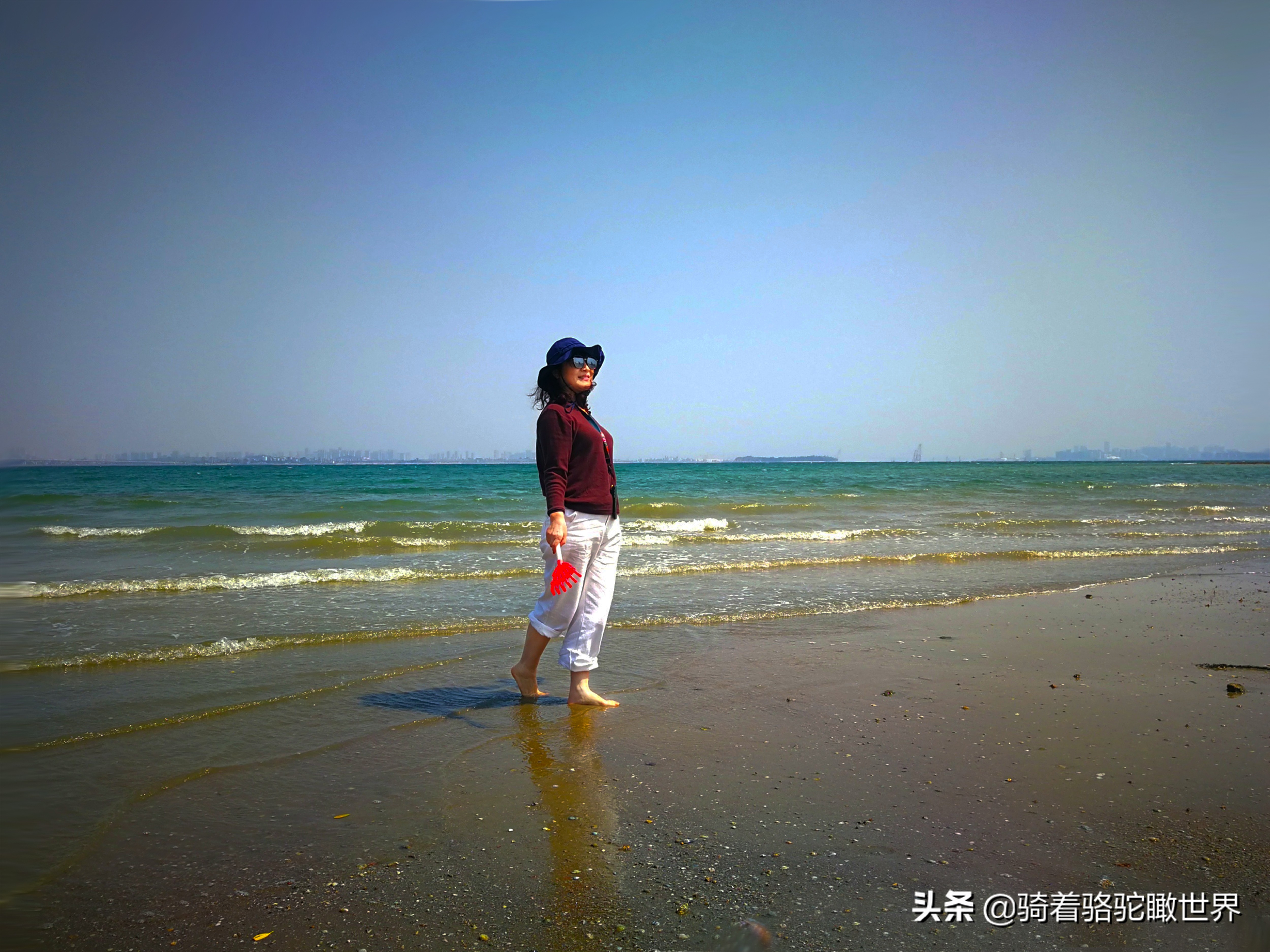 厦门彩虹沙滩哪一段赶海最好,黄金海岸赶海拾贝最佳地点