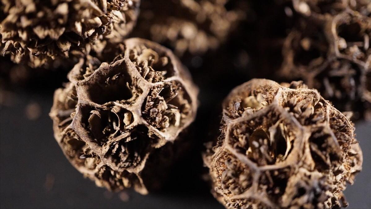 阴道炎顽固,祛湿热!中药内服外洗,清热利湿,杀虫止痒,不复发