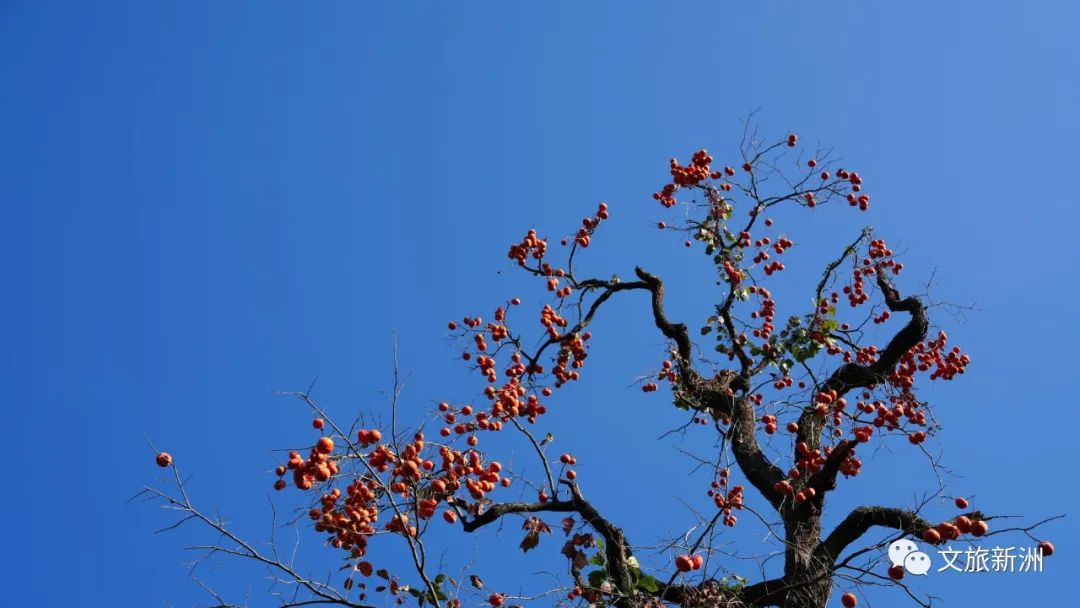 2022新洲文旅精彩不断，2023诗与远方步履不停