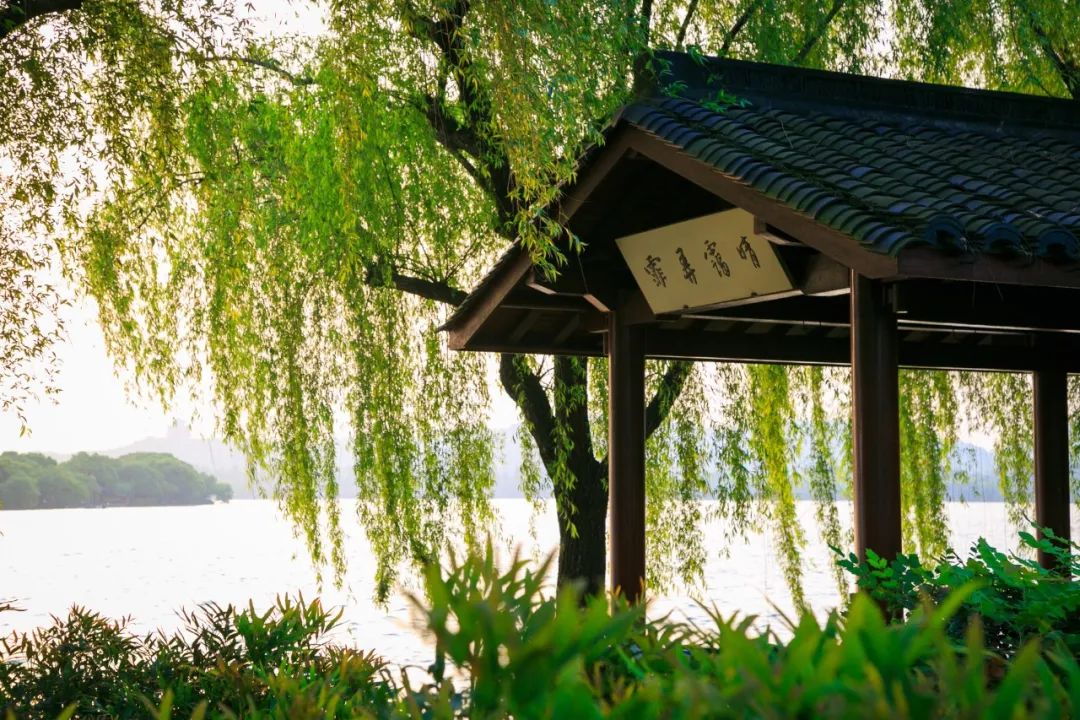 必背100个名著金句,中华经典名著摘抄及心得