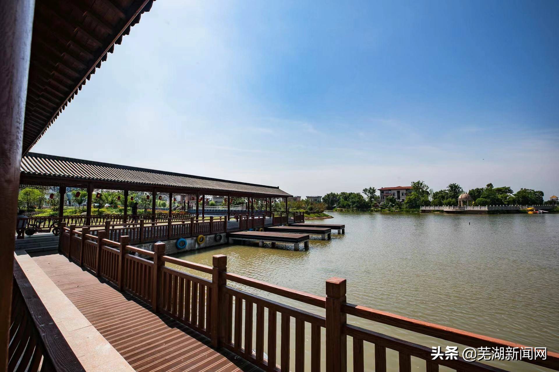 网友对芜湖的评价,网友看芜湖