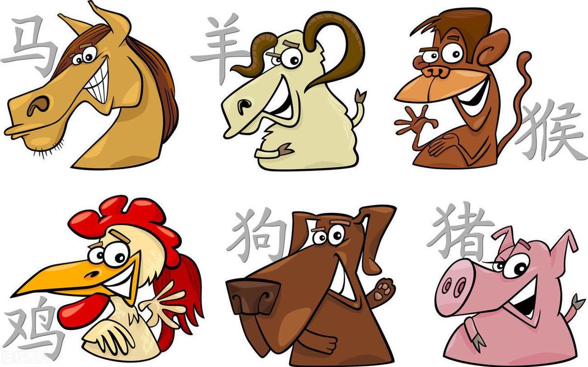 十二生肖秘密解析,十二生肖还有如此奥秘你知道吗