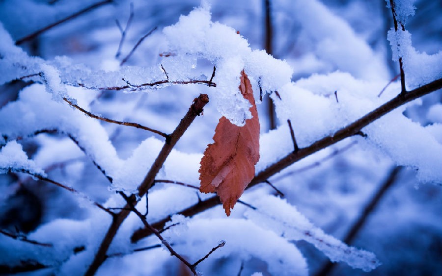 轻生是一种逃避没勇气要面对,轻生之人有什么样的勇气才会轻生
