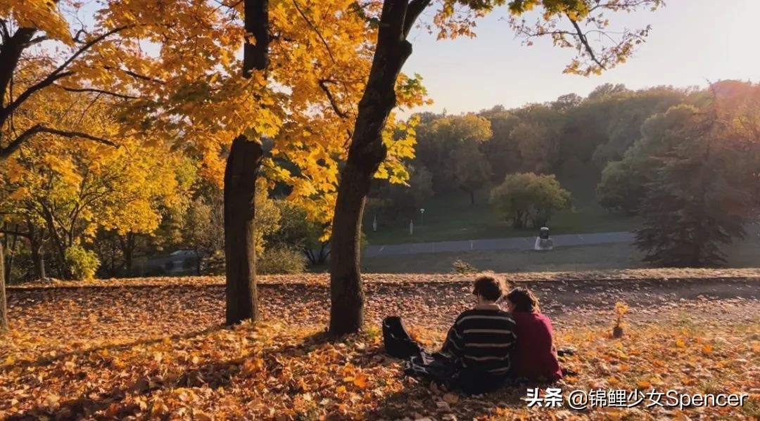 我在布达佩斯，收集了很多秋天送给你