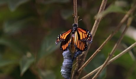 盘点经典周星驰电影,周星驰电影哪部最有深度