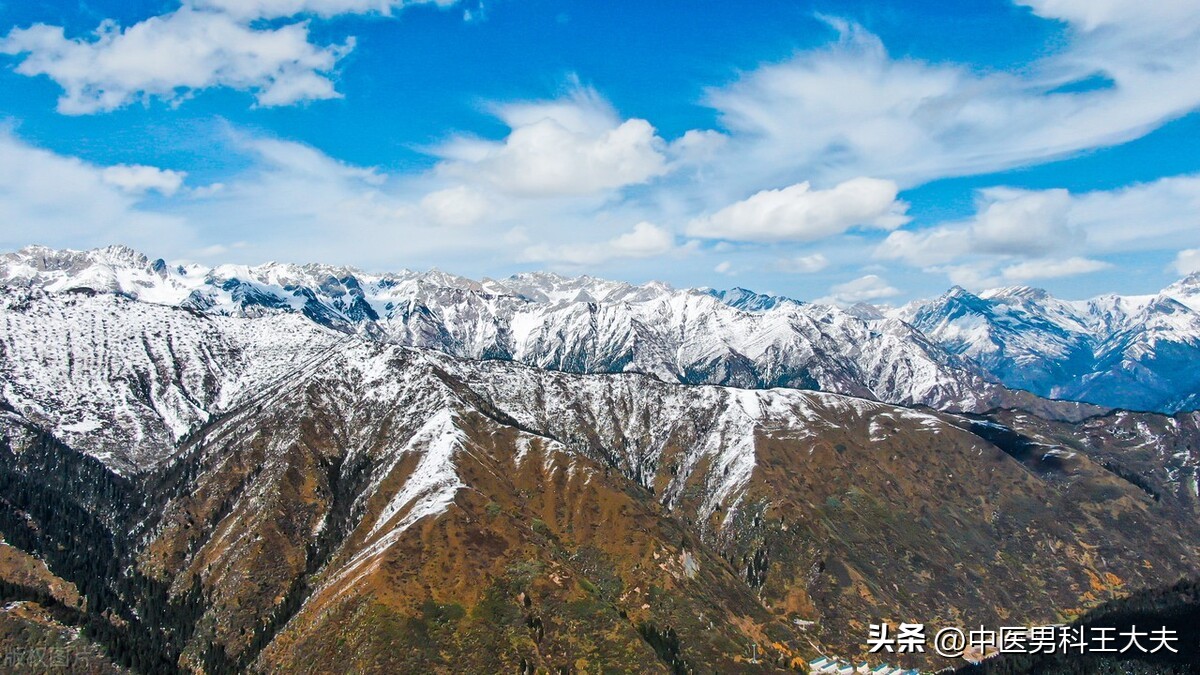 补肾最快的方法补脾阳虚,时间控制不住吃什么药