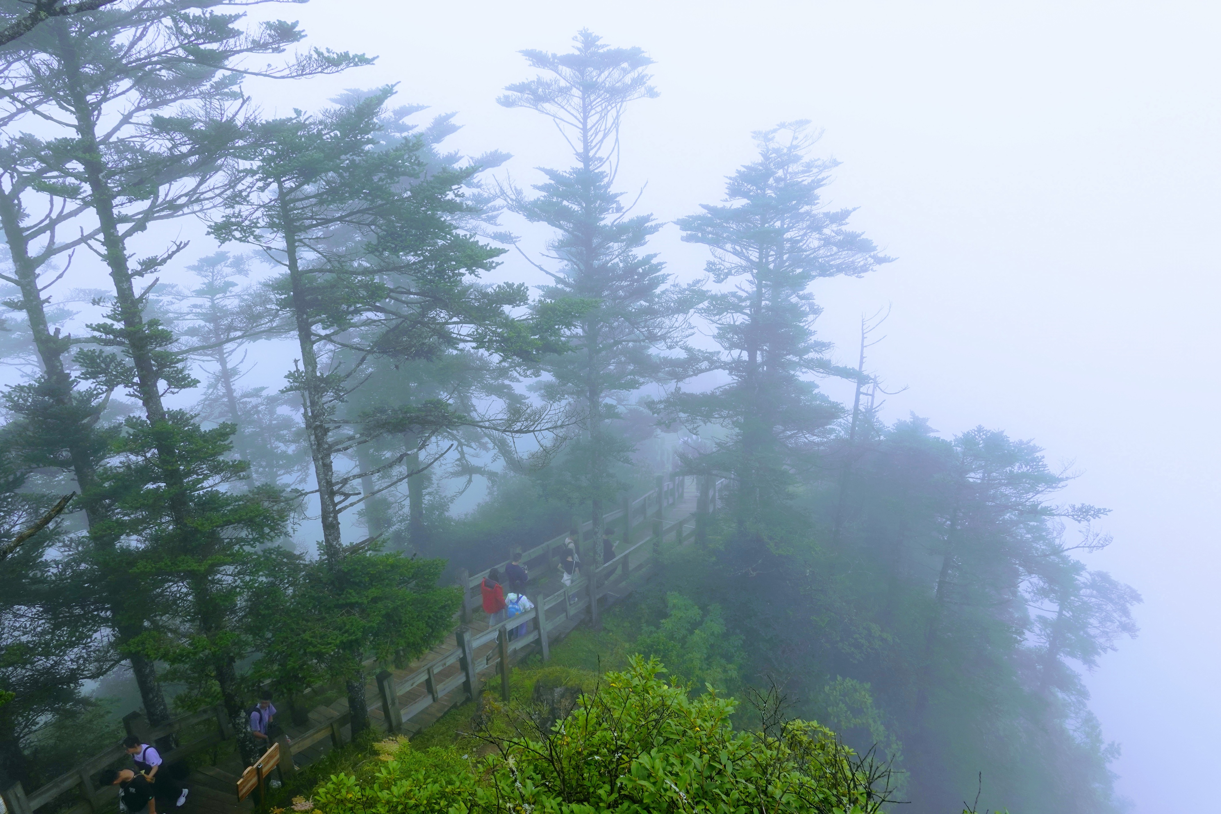 成都大邑徒步旅游攻略,大邑西岭雪山后山门票
