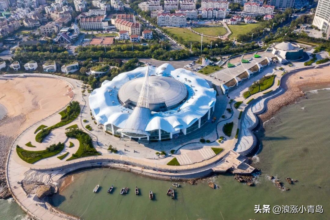 青岛又多了一处网红墙,青岛又添网红打卡地