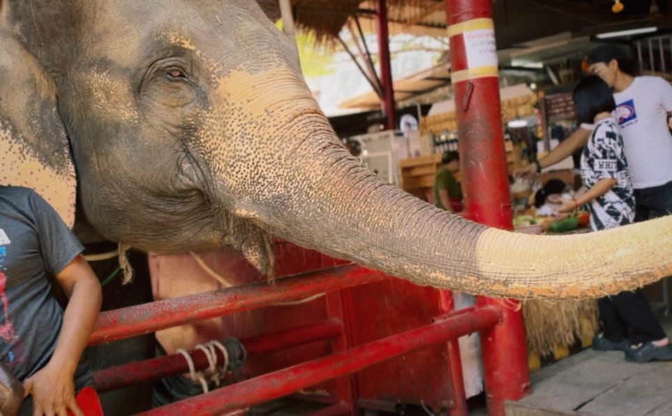 坐泰国火车,泰国坐火车需多少钱啊