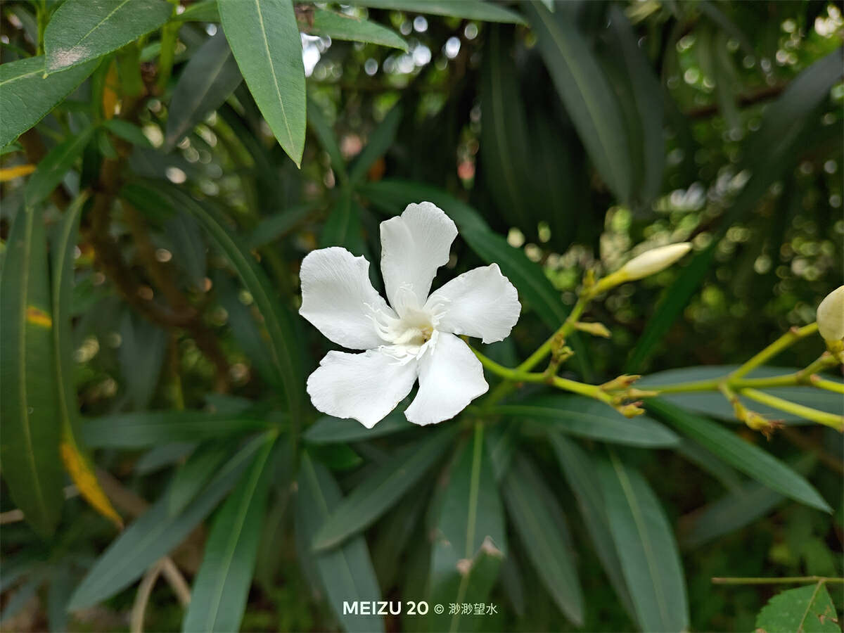 魅族20全系列深度测评,魅族20体验一段时间优缺点总结