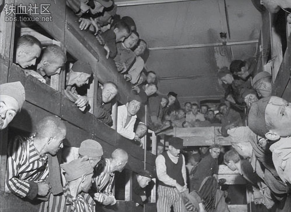 阿迪和彪马的故事感慨万千,从兄弟到反目成仇