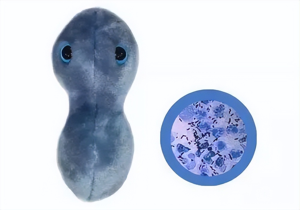 嫖娼后，怎么知道自己有没有染病？