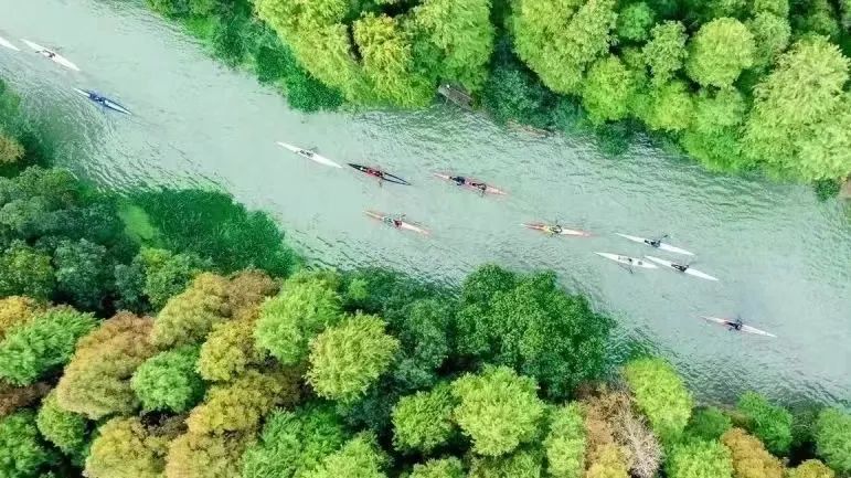 上海五一必打卡水上乐园推荐,上海好玩又免费的地方水上游