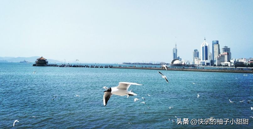 中国最美的十座海滨城市你都去过哪里,中国最美的十座海滨城市