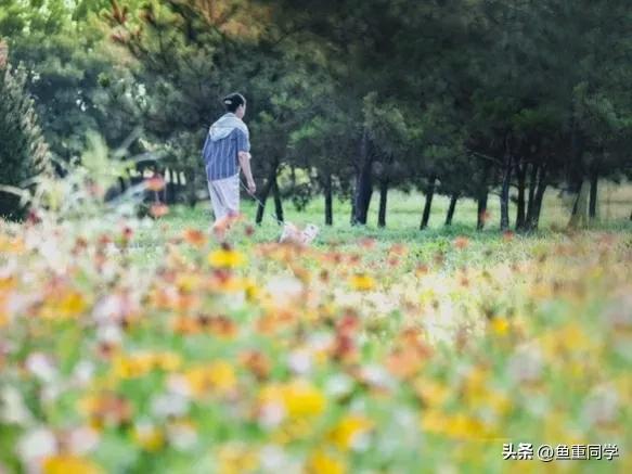 今天三月初七,你知道是什么日子吗?老祖宗的谚语怎么说