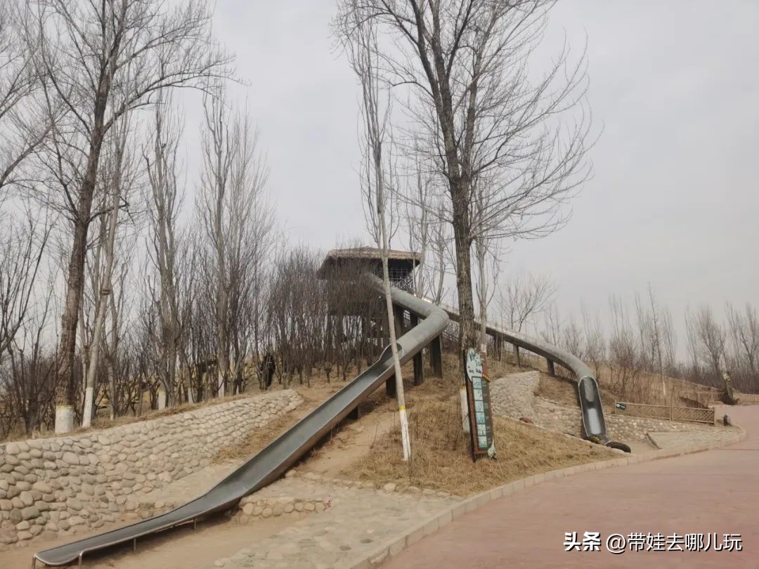 一天玩遍北京野生动物园,包场去鸟巢