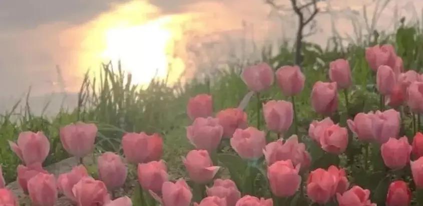 签名文案高级小众短句,黄昏日落独特小众的文案短句