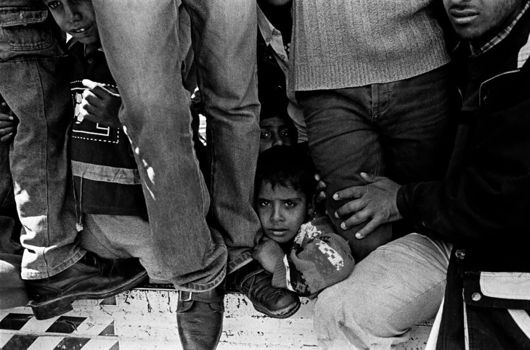 高磊：心灵的捕手