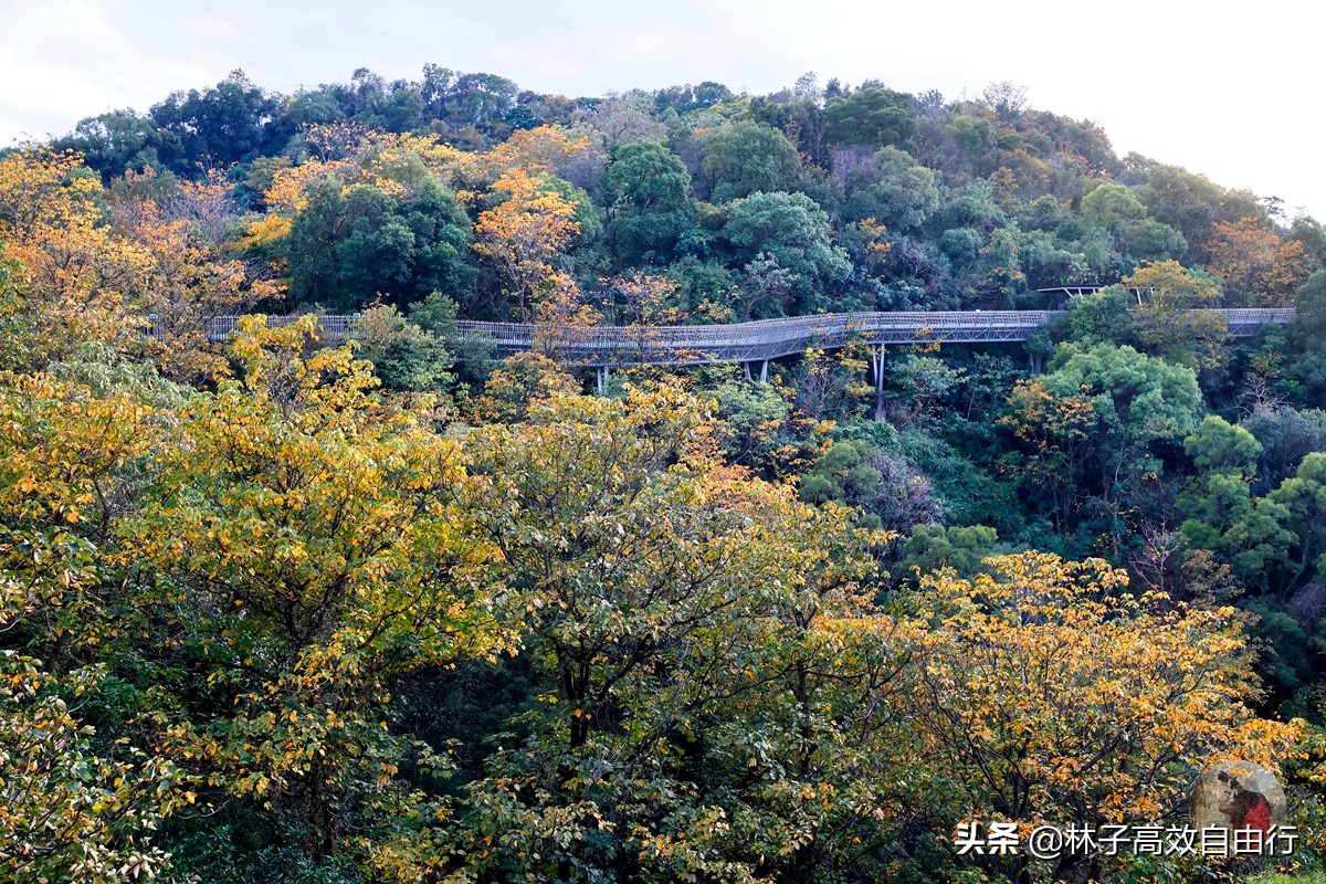 福州最新玩法,福州市区游玩攻略