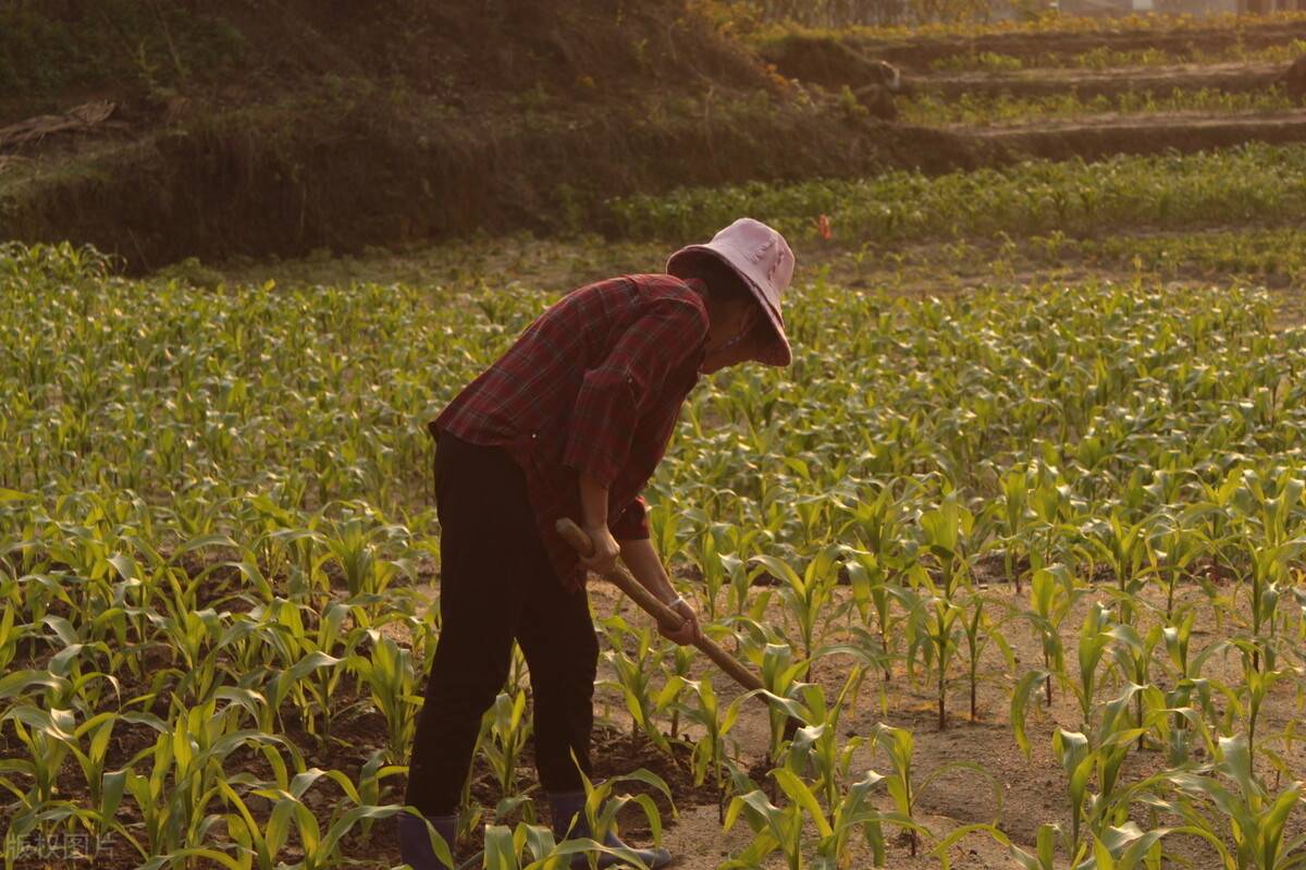 医学博士11天捐精5次猝死，父亲花30万打官司索赔400万，结局如何