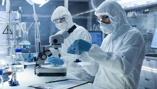 印度医药与中国对比,taffic印度制药